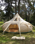 6m Lotus Stargazer
