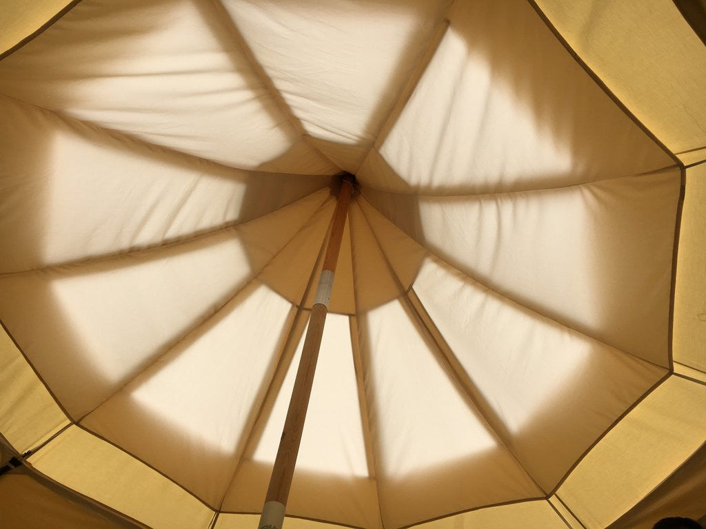 6m Lotus Stargazer